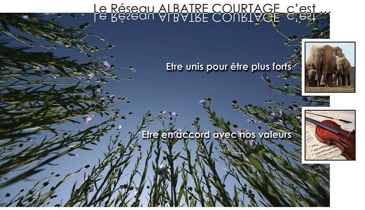 Albâtre Courtage