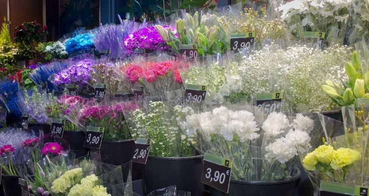 fleurs carrement fkeurs