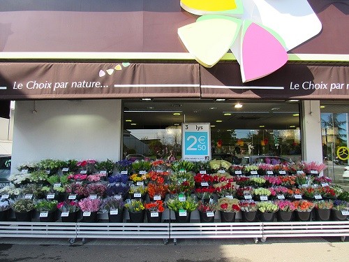 CARREMENT FLEURS