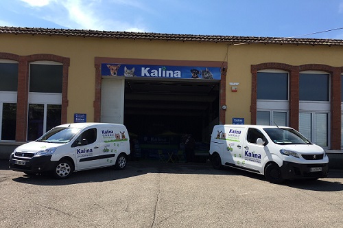 franchise kalina