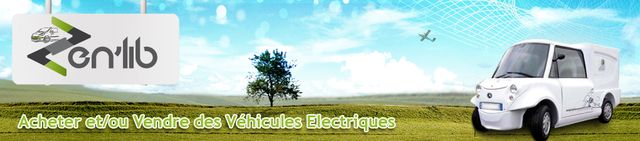zen auto zen lib se développe en concession de licence de marque
